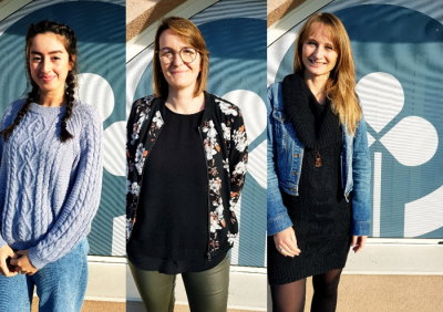 les drôles de dames