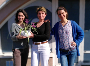 les drôles de dames